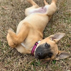 Meet your Posher, Jessica